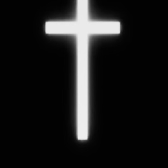 Meet your Posher, Jaylen - Picture 1 of 1